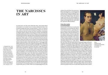 The Narcissus in perfumery - Collective – Image 3