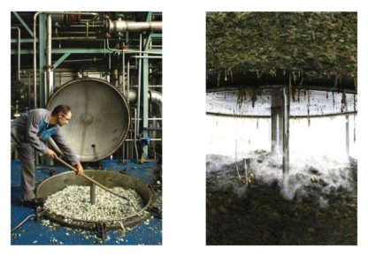 The Narcissus in perfumery - Collective – Image 7
