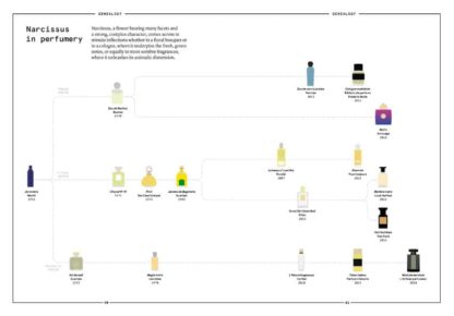 The Narcissus in perfumery - Collective – Image 8
