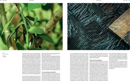 Nez, the Olfactory Magazine - #03 - The Sex of Scent – Image 4