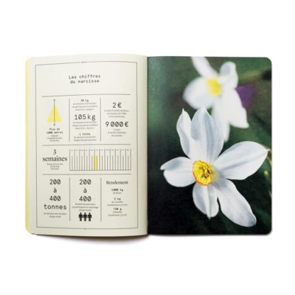 Le Narcisse en parfumerie
