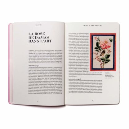 La Rose en parfumerie