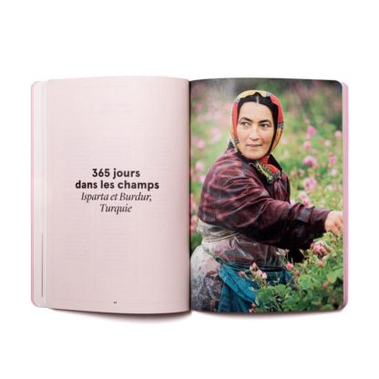 La Rose en parfumerie