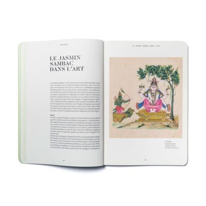 Le Jasmin en parfumerie