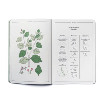 Le Patchouli en parfumerie