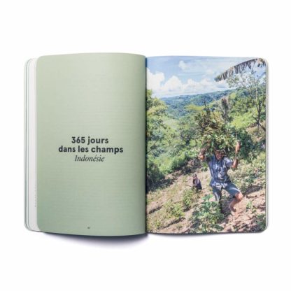 Le Patchouli en parfumerie