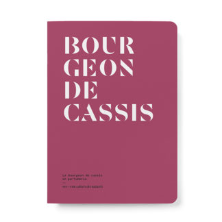 Le Bourgeon de cassis en parfumerie