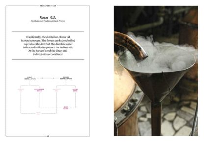 Damask Rose in Perfumery - Collective – Image 6