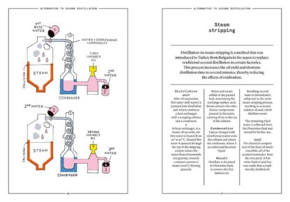 Damask Rose in Perfumery - Collective – Image 7