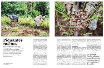 Nez, la revue olfactive - #09 - Autour du monde – Image 11