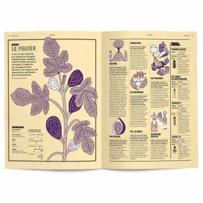 Pack : Nez#10, la revue + le parfum Ambre à lèvres (collection 1+1) – Image 8