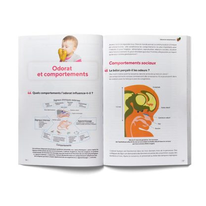 Faut-il sentir bon pour séduire ?