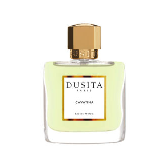 Cavatina