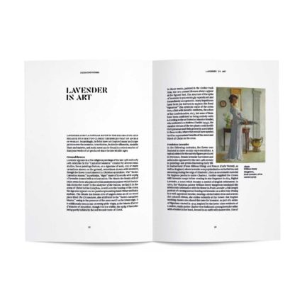 lavender-in-perfumery-en-planche-2