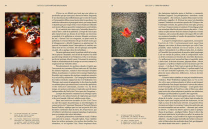 Parfum - De l'essence au flacon - Robert Klanten, Carla Seipp, Santiago Rodriguez Tarditi – Image 12