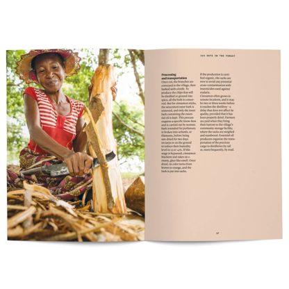 Cinnamon in perfumery - Collective – Image 4