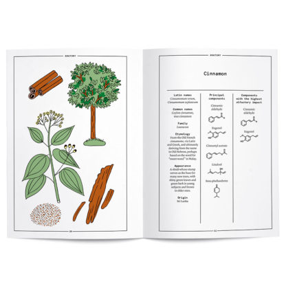 Cinnamon in perfumery - Collective – Image 2