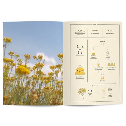 L'Immortelle en parfumerie - Collectif – Image 2