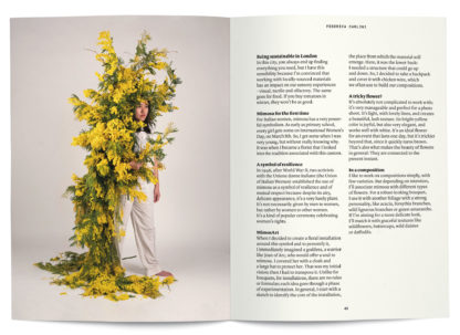 Mimosa in perfumery - Collective – Image 3