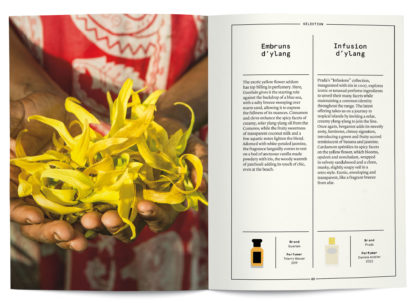 Ylang ylang in perfumery - Collective – Image 4