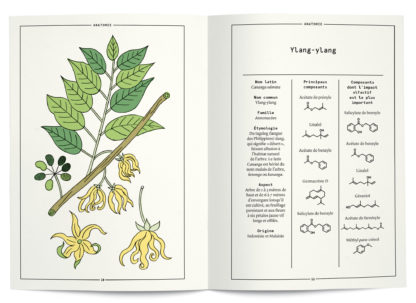 L'Ylang-ylang en parfumerie - Collectif – Image 2