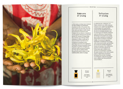 L'Ylang-ylang en parfumerie - Collectif – Image 3
