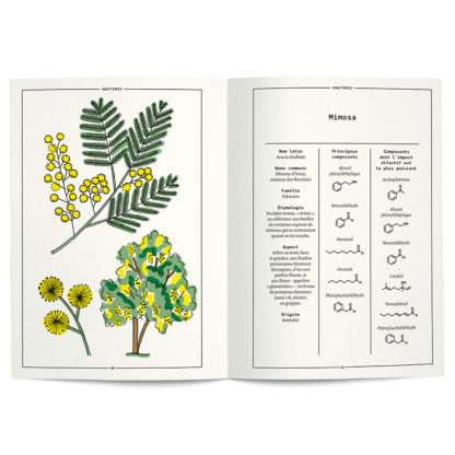 Le Mimosa en parfumerie - Collectif – Image 2