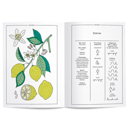 Le Citron en parfumerie - Collectif – Image 2