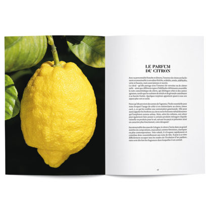 Le Citron en parfumerie - Collectif – Image 4