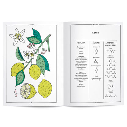 Lemon in perfumery - Collective – Image 2