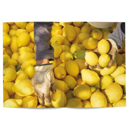 Lemon in perfumery - Collective – Image 3