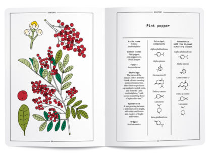Pink Pepper in perfumery - Collective – Image 2