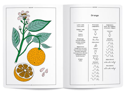 Orange in perfumery - Collective – Image 2