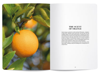 Orange in perfumery - Collective – Image 4