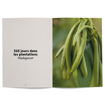 La Vanille en parfumerie - Collectif – Image 4