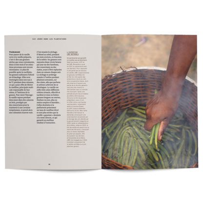 La Vanille en parfumerie - Collectif – Image 5