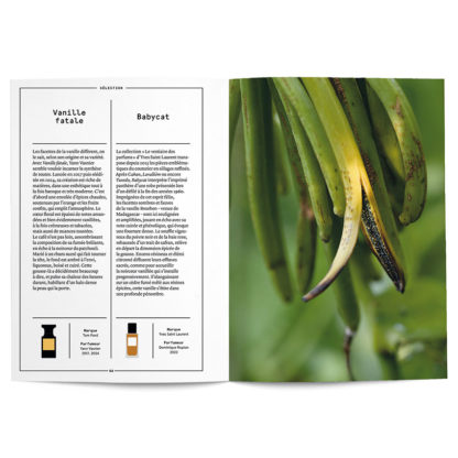 La Vanille en parfumerie - Collectif – Image 6