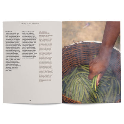 Vanilla in perfumery - Collective – Image 5