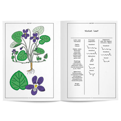 Violet leaf in perfumery - Collective – Image 4
