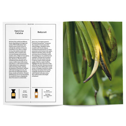 Vanilla in perfumery - Collective – Image 6
